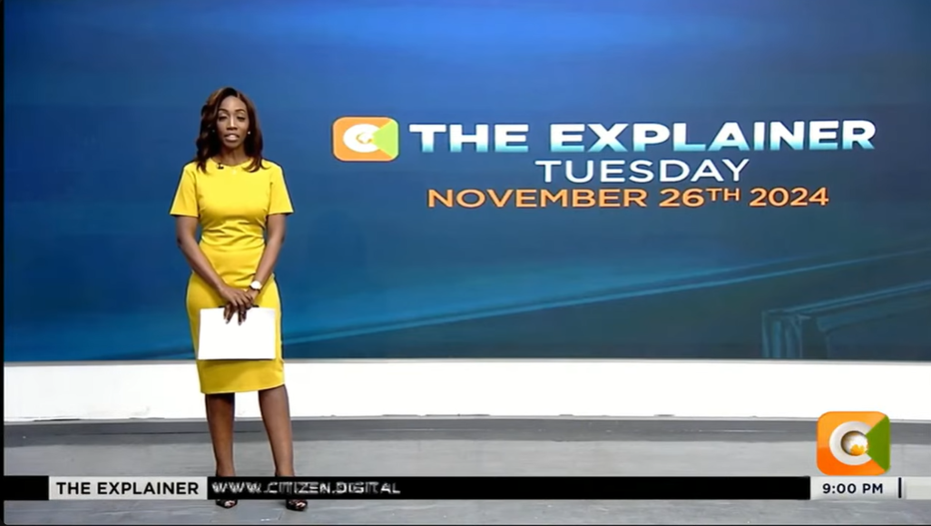 THE EXPLAINER NEWS - NOVEMBER 26, 2024