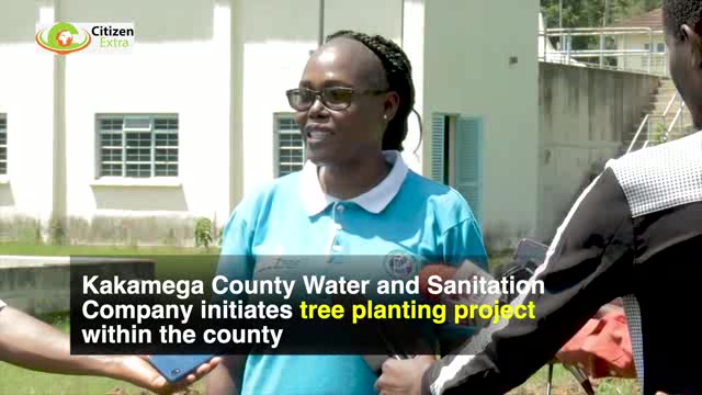 Kakamega County Water and Sanitation  Company initiates tree planting project
