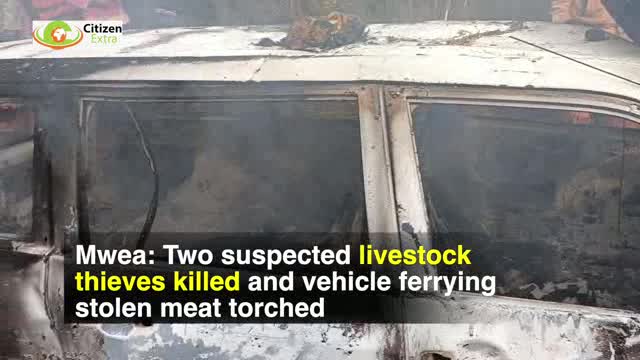 Kirinyaga: Two suspected cattle thieves burned to death