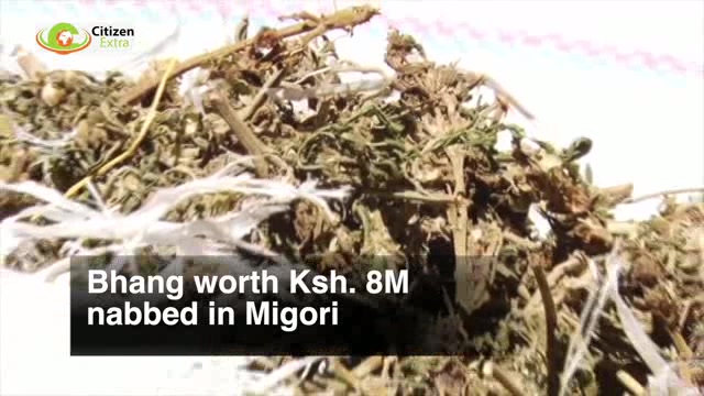 Bhang worth Ksh. 8 million nabbed in Migori